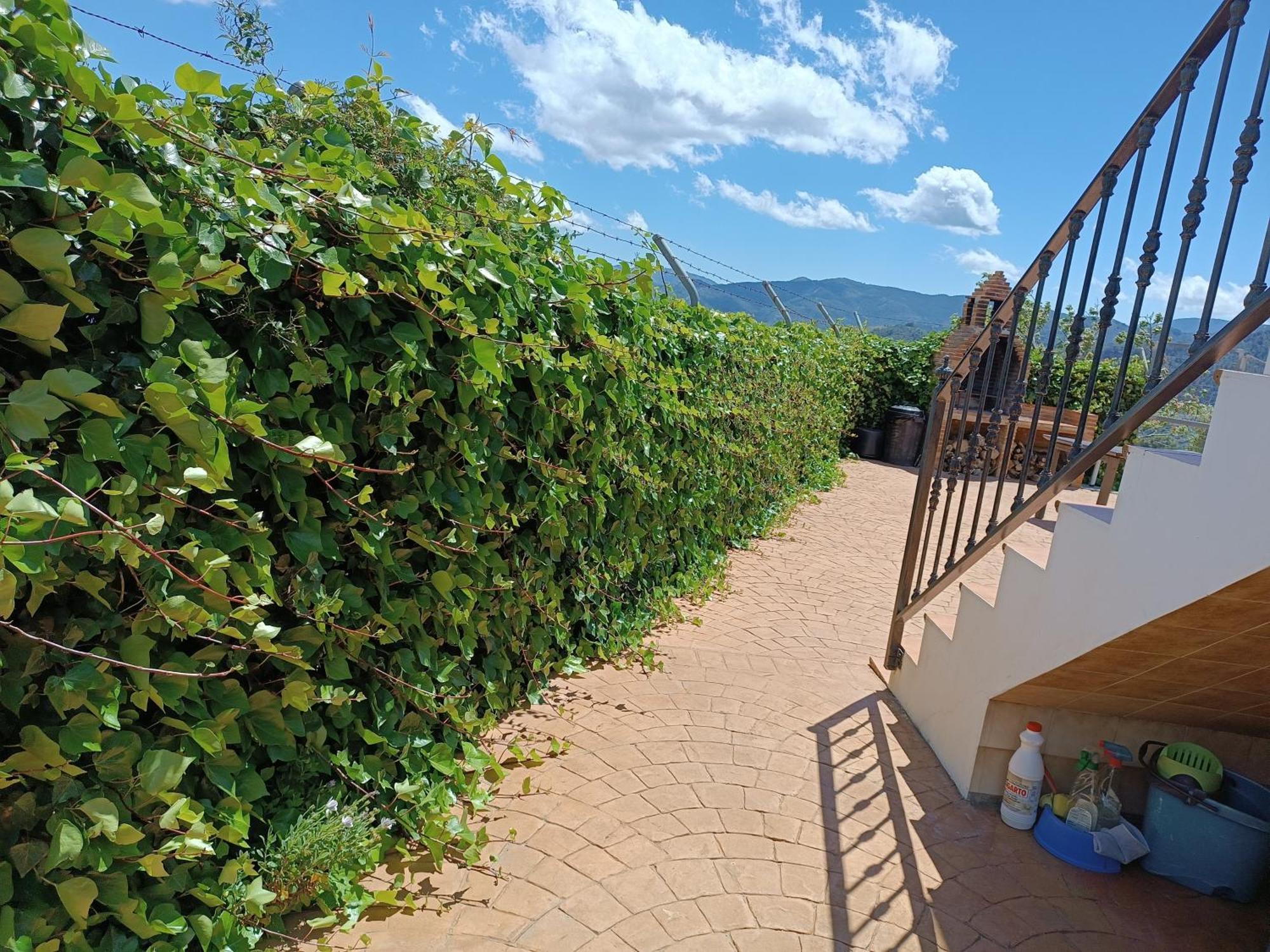 Casa Rural La Revuelta Con Las Mejores Vistas A La Naturaleza Yunquera Екстериор снимка